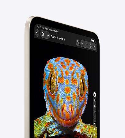 iPad mini, face avant, couleur comète, affichant une image rapprochée d’une grue royale, vue de profil, plumes noires, blanches et jaunes, visage et bec rouges, plumes noires autour de l’œil, arrière-plan sombre.