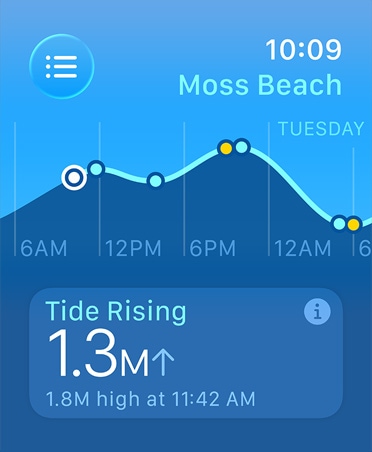 Tides app, metrics: high and low tides, rising and falling tides, line graph estimating times and tide points