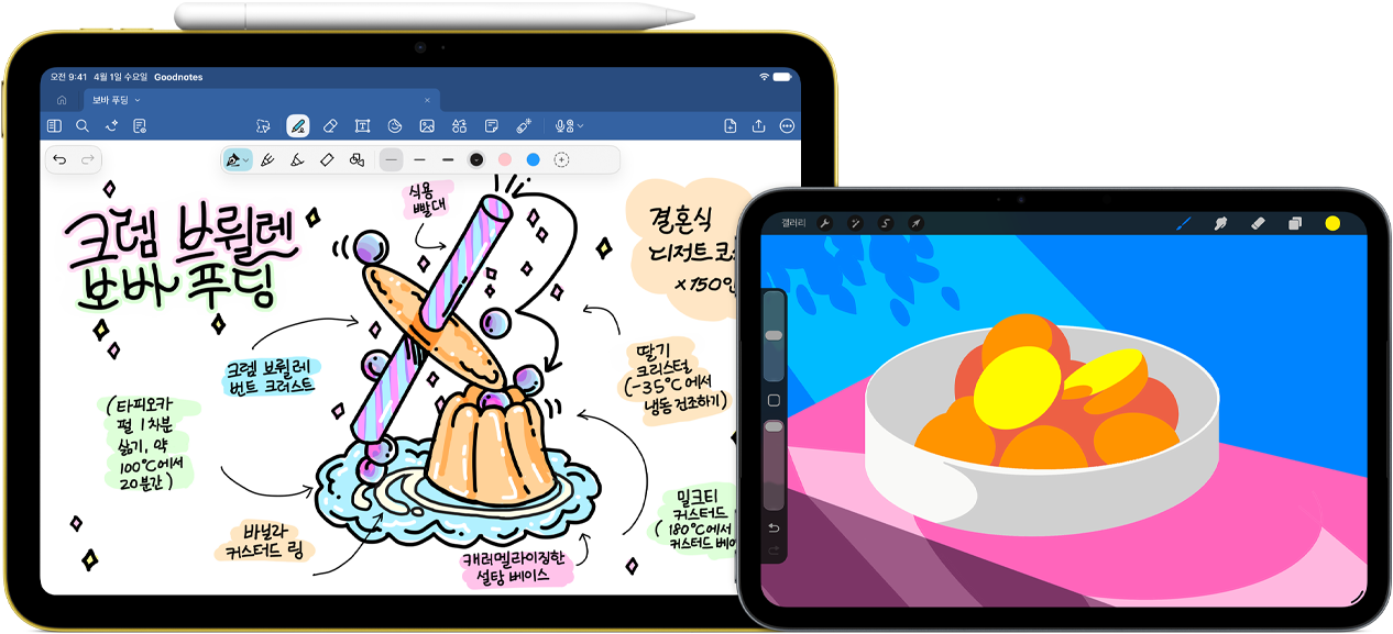 iPad 및 Apple Pencil(USB)