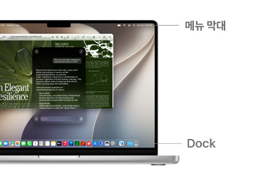 Siri에게 물어보기 기능이 MacBook Pro 14에 유용한 연구 정보를 표시하고 있고, 백그라운드에서 실행 중인 미리보기 앱에 메뉴 막대 및 Dock의 위치를 나타내는 선이 표시된 모습.