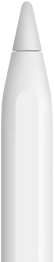 قلم Apple يظهر رأسه