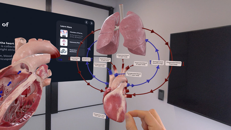 An image of Apple Vision Pro being used to provide 3D medical imaging.