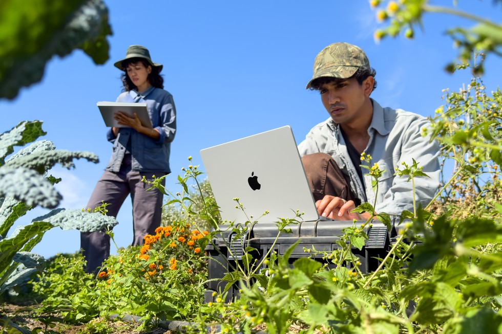 Dos personas trabajan al aire libre con una MacBook Pro en un día soleado.