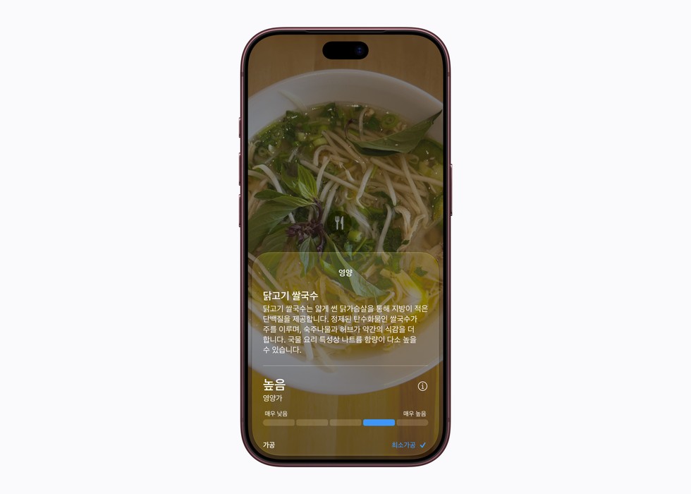 사용자가 iPhone의 Siri 모드를 이용해 이미지에 관한 정보를 확인하는 모습.