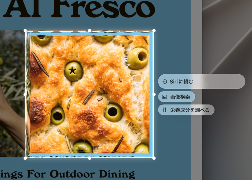 画面上の画像の一部を選択し、Siri AIを利用してそれについてより多くの情報を収集しているユーザー。