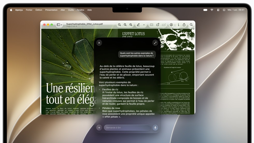 Une personne utilise Siri AI pour poser une question relative au contenu affiché à l’écran.