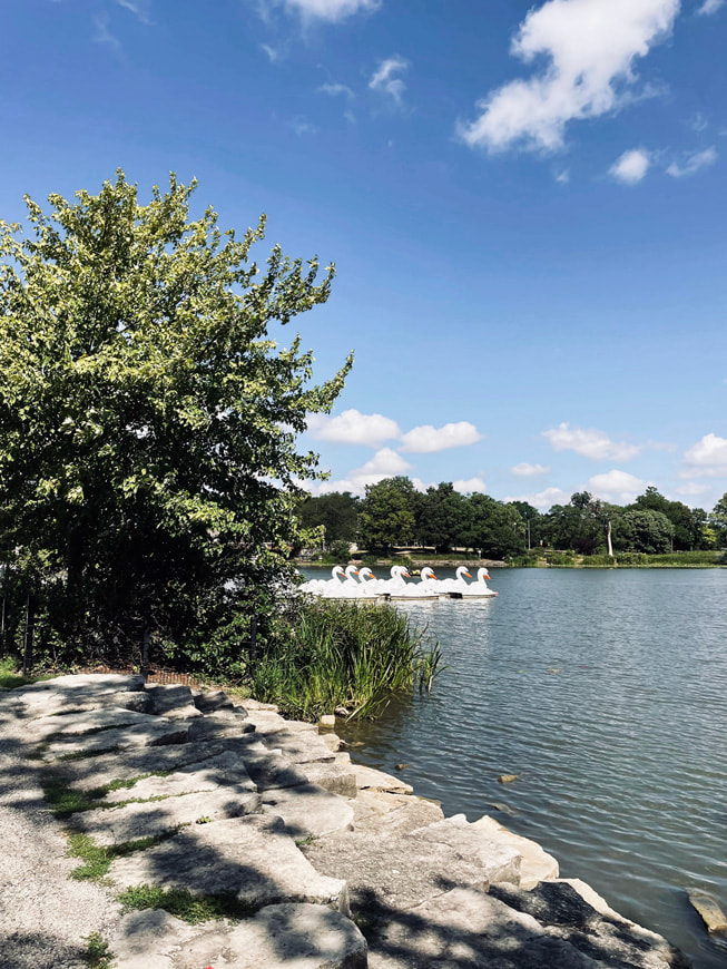 La foto de Adetokunbo Opeifa muestra botes cisne en la orilla de un lago.