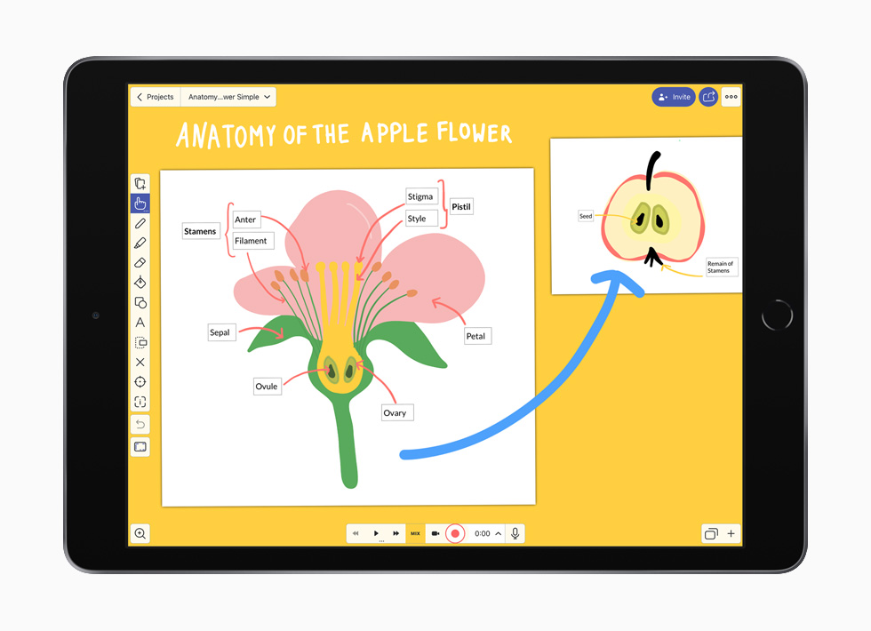 Explain Everything Whiteboard app on iPad.