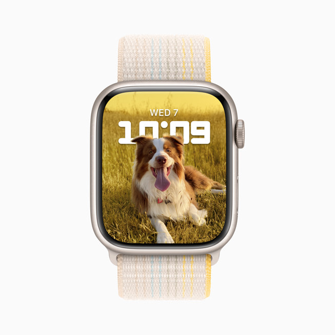 Apple Watch Series 8, der viser urskiven Portræt med et billede af en hund.