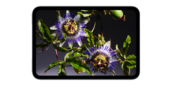 iPad mini, önden görünüm, ekranda turuncu bir odadaki turuncu bir koltukta oturan turuncu takım elbiseli bir kişinin canlı renklere sahip görüntüsü gösteriliyor.
