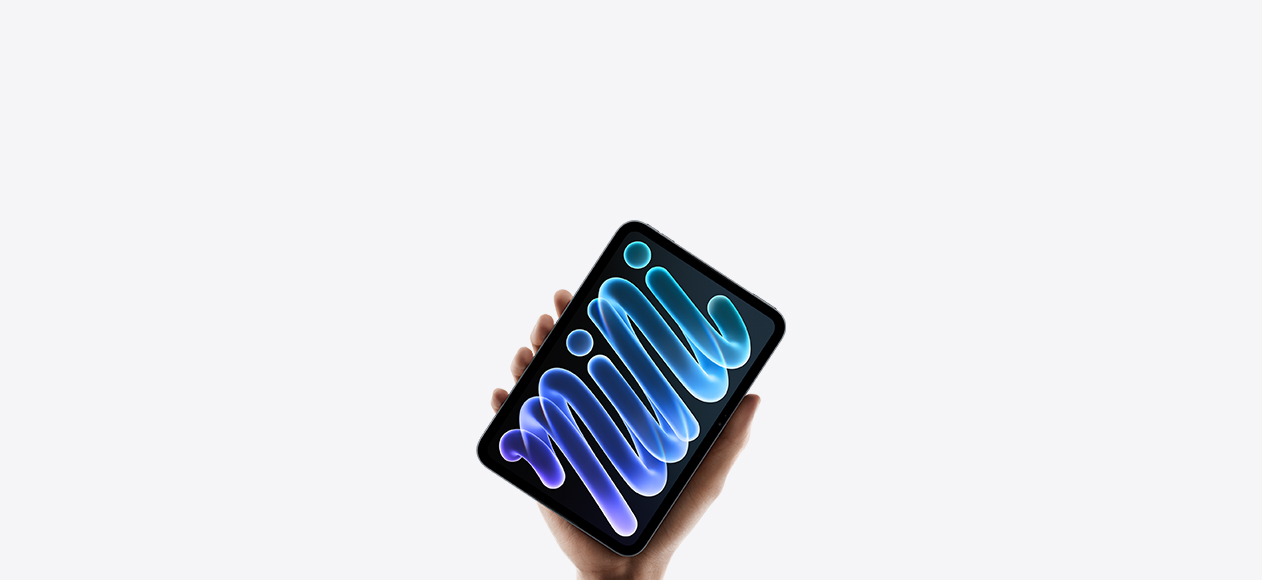 iPad mini, black, held in hand
