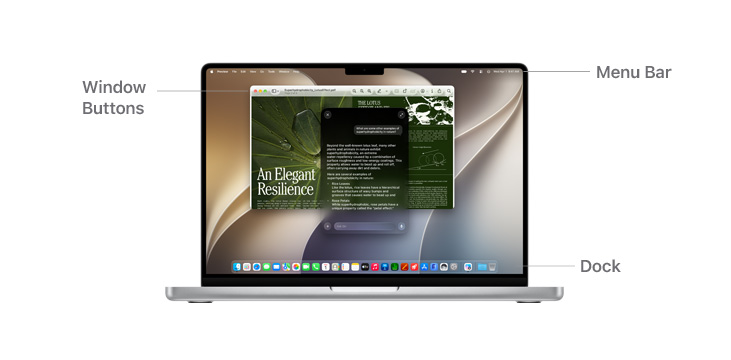 Ask Siri populates helpful research information on MacBook Pro 14", Preview and Canvas run in the background with lines indicating the location of the Menu Bar, Window Buttons, and Dock.